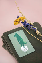 Load image into Gallery viewer, Trixie Milestone cards