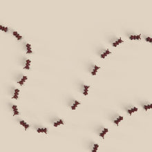 Load image into Gallery viewer, Doddle & Co, the chew - ant-icipation