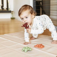 Load image into Gallery viewer, Doddle & Co, the chew - ant-icipation