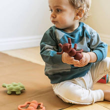 Load image into Gallery viewer, Doddle & Co, the chew - ant-icipation