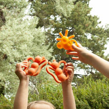 Load image into Gallery viewer, Doddle & Co, the chew - social butterfly