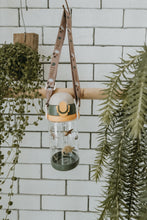 Load image into Gallery viewer, Storgē Water Bottle, 520ml - Dino

