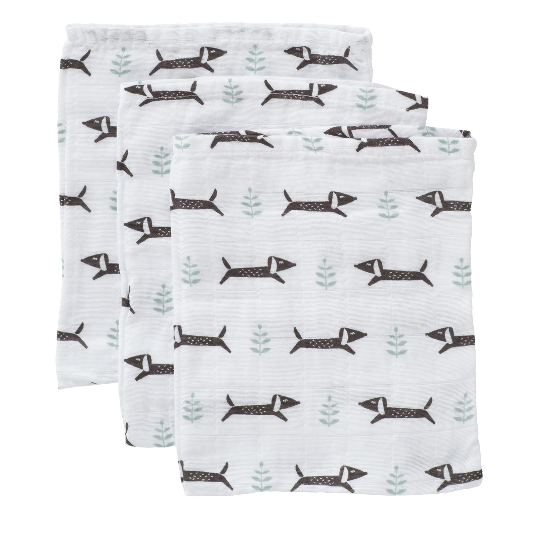 Fresk Wash Cloth Set (3pcs) - Dachsy