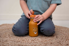 Load image into Gallery viewer, Trixie Bottle 350ml - Mr. Tiger
