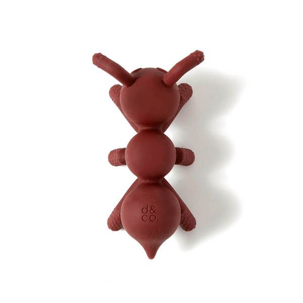 Doddle & Co, the chew - ant-icipation